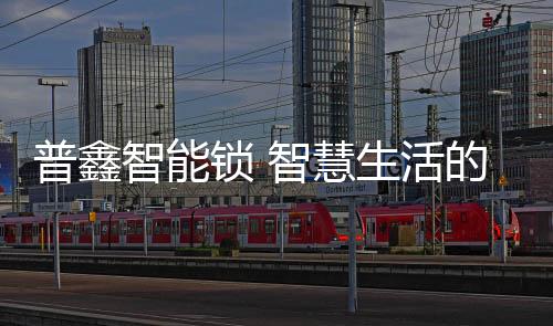 在快节奏的普鑫当下