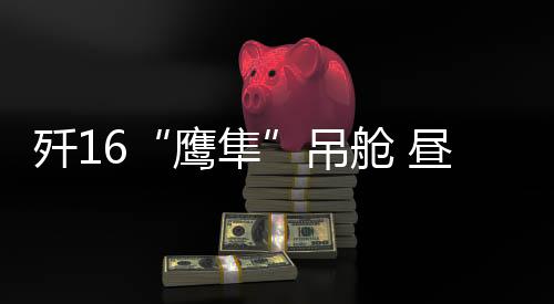 鹰隼提供了重要支持