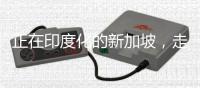 正在印度化的新加坡，走上了一条不归路！