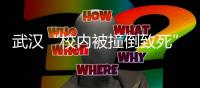 武汉“校内被撞倒致死”的小学生母亲坠楼身亡曾受网暴“围攻”