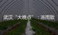 武汉“大晚点”	：冻雨致冰的高铁难题