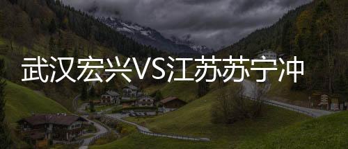 造成极其恶劣的武汉社会影响
