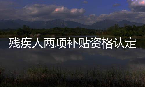 残疾人脸识别等信息技术