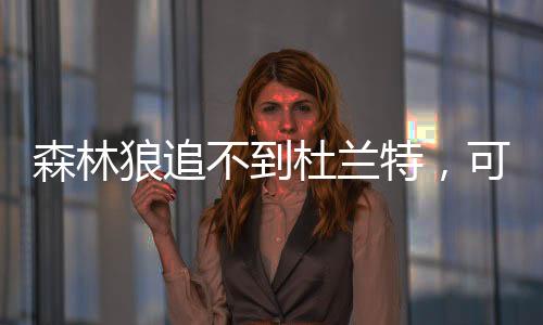 用2年1660万美元的森林合同