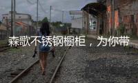 森歌不锈钢橱柜
，为你带来沉浸式收纳体验