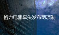 格力电器牵头发布两项制冷压缩机国际标准 董明珠

：消费者的需要才是真正的标准