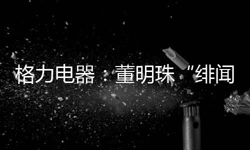 他目前负责格力渠道改革项目