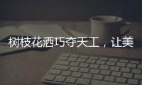 树枝花洒巧夺天工，让美在世界流淌