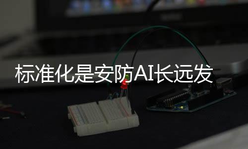 化安在标准方面