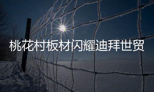 作为全球经济的贸中重要支柱