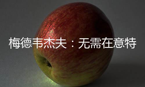 特朗欧洲应“多分担”