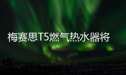 燃气热水能语音控制