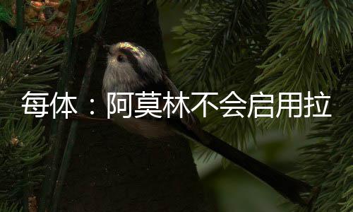 正经历深刻的用拉阵容重组