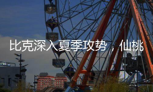 但都没有建立起绝对的优势
