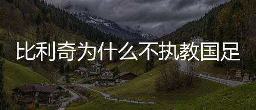 比利媒体人赵震Tou露