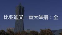 比亚迪又一重大举措：全面兜底