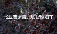 比亚迪承诺兜底智能泊车�！媲美L4级体验，出了问题官方赔付