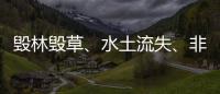 毁林毁草、水土流失、非法采矿……中央生态环保督察集中通报3省区典型案例