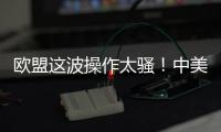 欧盟这波操作太骚！中美刚要联手绞杀，它竟想左右逢源
？