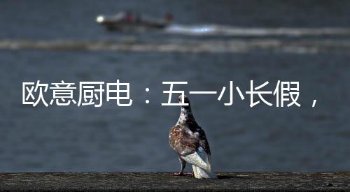假不家练你想要的欧意它都有