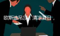 欧斯迪吊顶丨清凉夏日，年“粽”大礼惊喜来袭