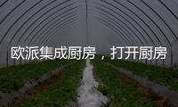 欧派集成厨房
，打开厨房设计新方向丨欧派橱柜