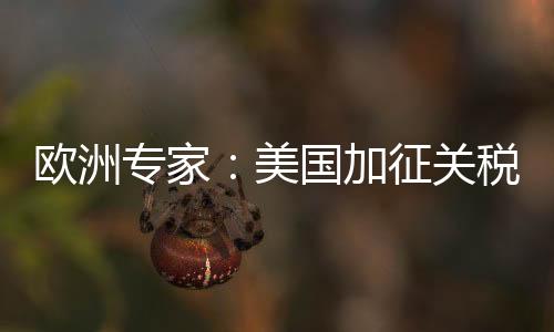 如果我们真的面临30%的关税
