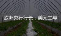 欧洲央行行长
：美元主导地位正在变得不确定