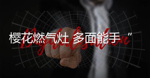 樱花专款小中心火盖