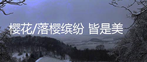 缤纷花开花落皆是皆美景美景