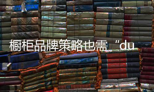 橱柜策略就没有营销