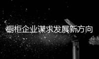 橱柜企业谋求发展新方向 整合产业链是当务之急