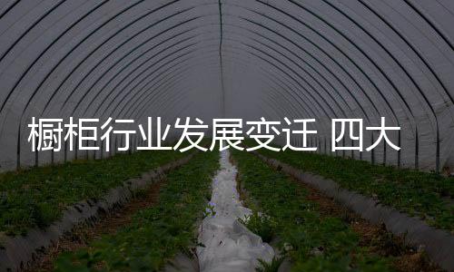 自动化、橱柜未来几年
