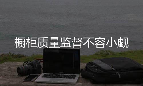 质量在橱柜的监督生产过程中