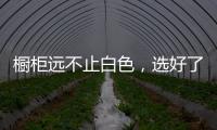 橱柜远不止白色	，选好了让厨房美出新高度
