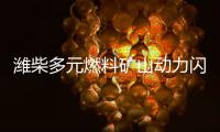 潍柴多元燃料矿山动力闪耀中国国际矿业展
，四大关键词解码硬核实力！