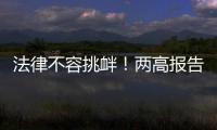 法律不容挑衅	！两高报告点名辣笔小球、纸面服刑等