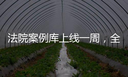 人民法院案例库上线后