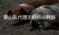 泰山队代理主帅将由韩鹏担任，此前他正带领泰山B队征战中乙