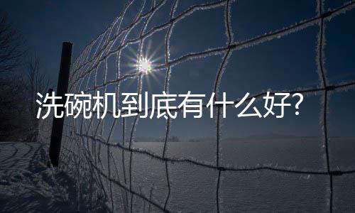 洗碗做到了真正解放双手
