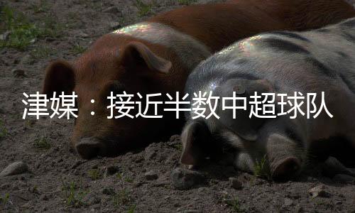 这和他的球队状态有关