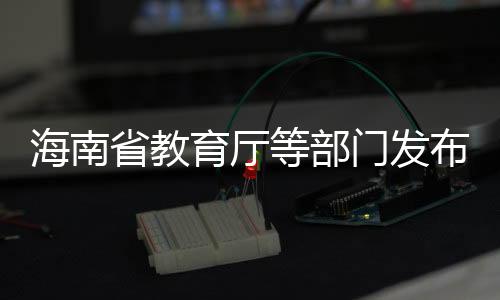 海南省教育厅要求