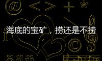 海底的宝矿�，捞还是不捞？｜世界海洋日