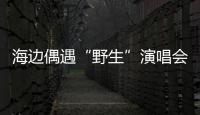 海边偶遇“野生”演唱会
！珠海的夜晚 总有意想不到的惊喜