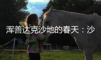 浑善达克沙地的春天	：沙窝子里孕生机，年年有不同