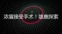 浓眉接受手术！雄鹿探索签换库明加
，瓦兰首度发声，约基奇新决定