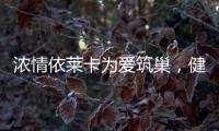 浓情依莱卡为爱筑巢�，健康全铝家居感恩天下母亲!