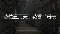浓情五月天，花香“母亲节”
！担杆镇海岛之家开展母亲节插花活动