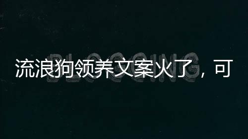 市公安机关设立犬类留检所