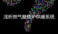 浅析燃气壁挂炉供暖系统的几大优点